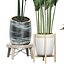 Plantas em vaso Conjunto 42