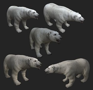 3D polar bear games animation