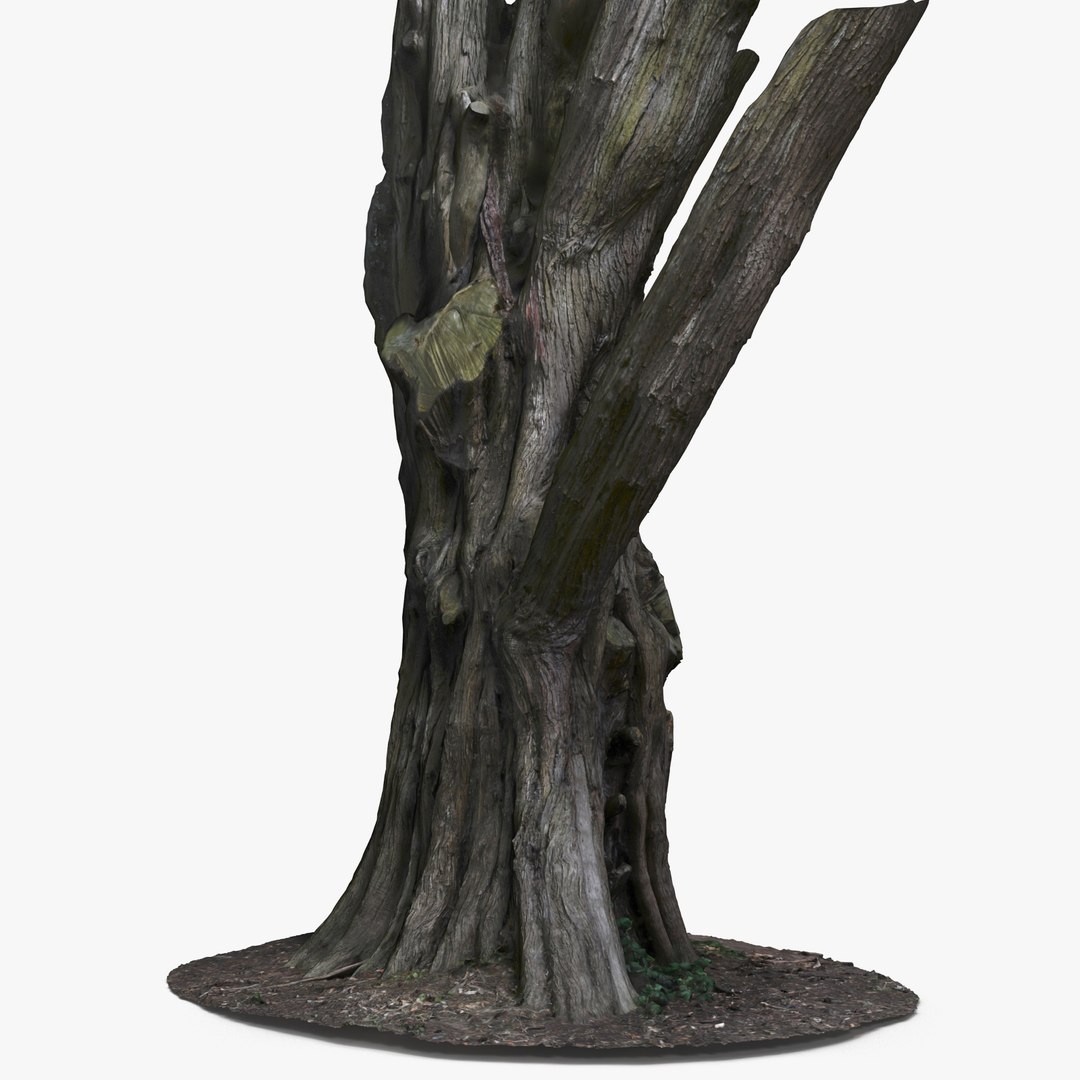 Tree Trunk Dxf