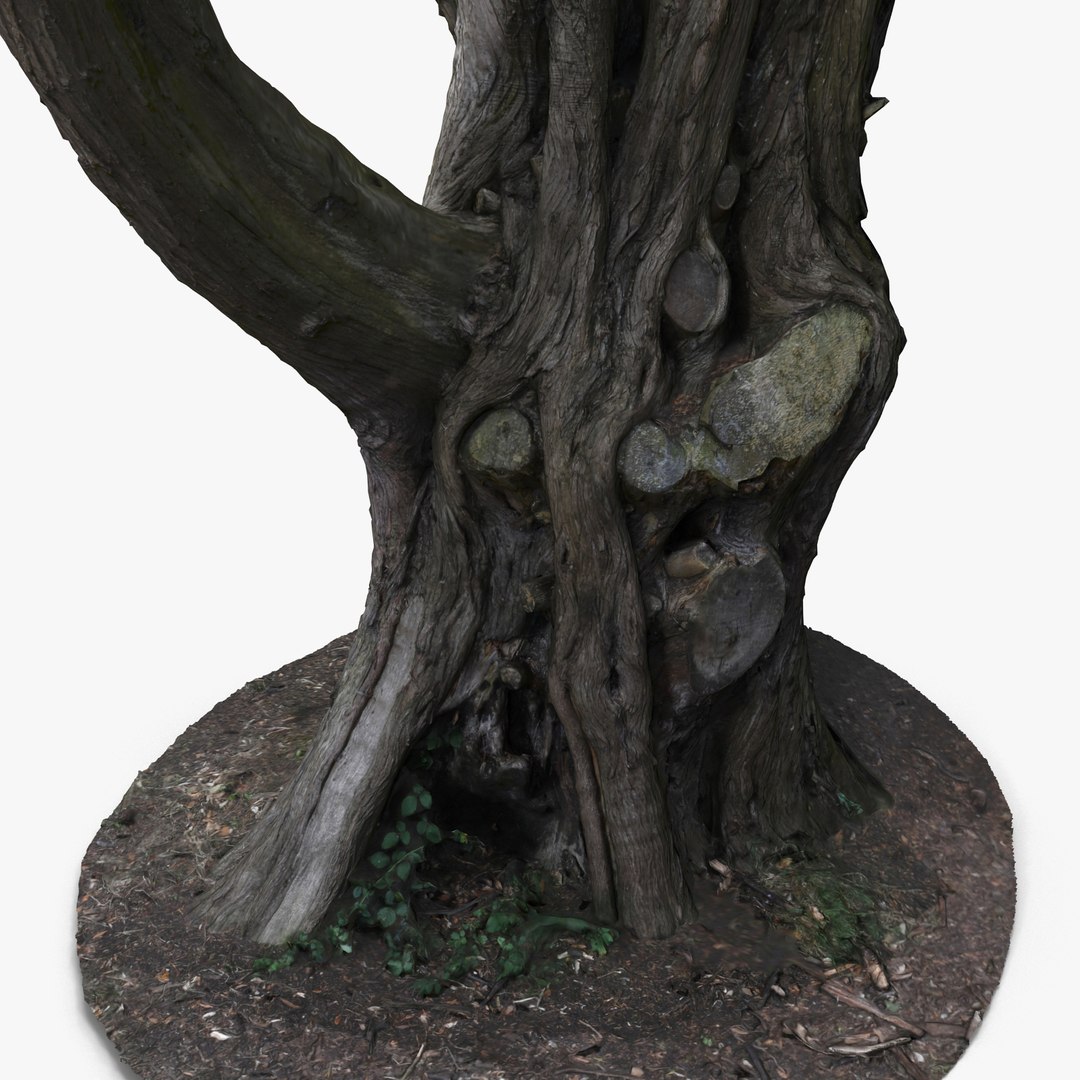 Tree Trunk Dxf