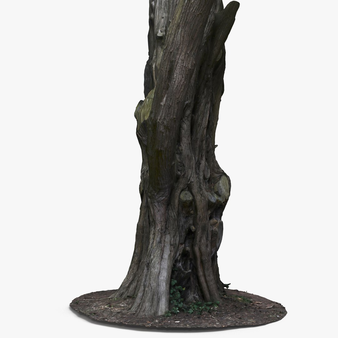 Tree Trunk Dxf