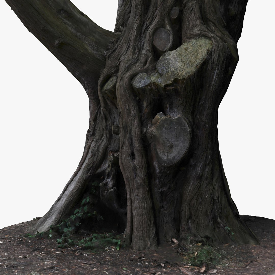 Tree Trunk Dxf