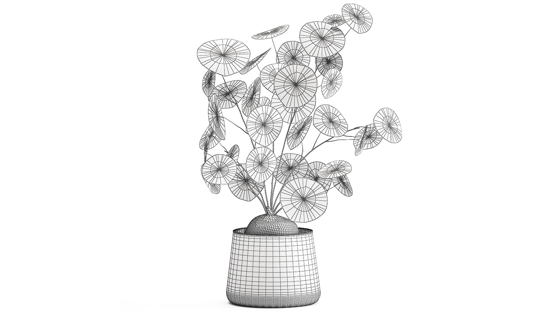 3D plants interior pots https://p.turbosquid.com/ts-thumb/h9/iBnXkR/V9/1stephaniaerectaxl2603202109/jpg/1616848317/1920x1080/fit_q87/b379e1918f98c144623382574247e40923485b0e/1stephaniaerectaxl2603202109.jpg