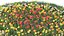 Flower beds 3D model