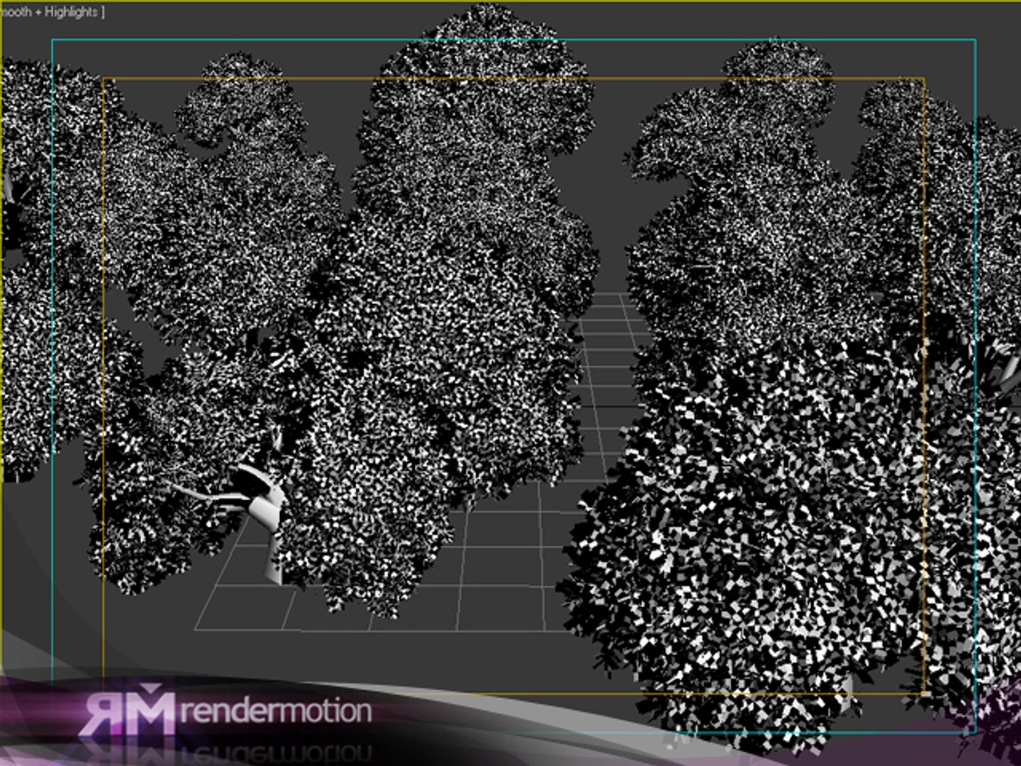 3d tree model https://p.turbosquid.com/ts-thumb/hA/C1VBbQ/R7lth6Ow/robles_uvs/jpg/1295644613/1920x1080/fit_q87/fa0937f1623da3b50f733fb448d44af46bb3795c/robles_uvs.jpg