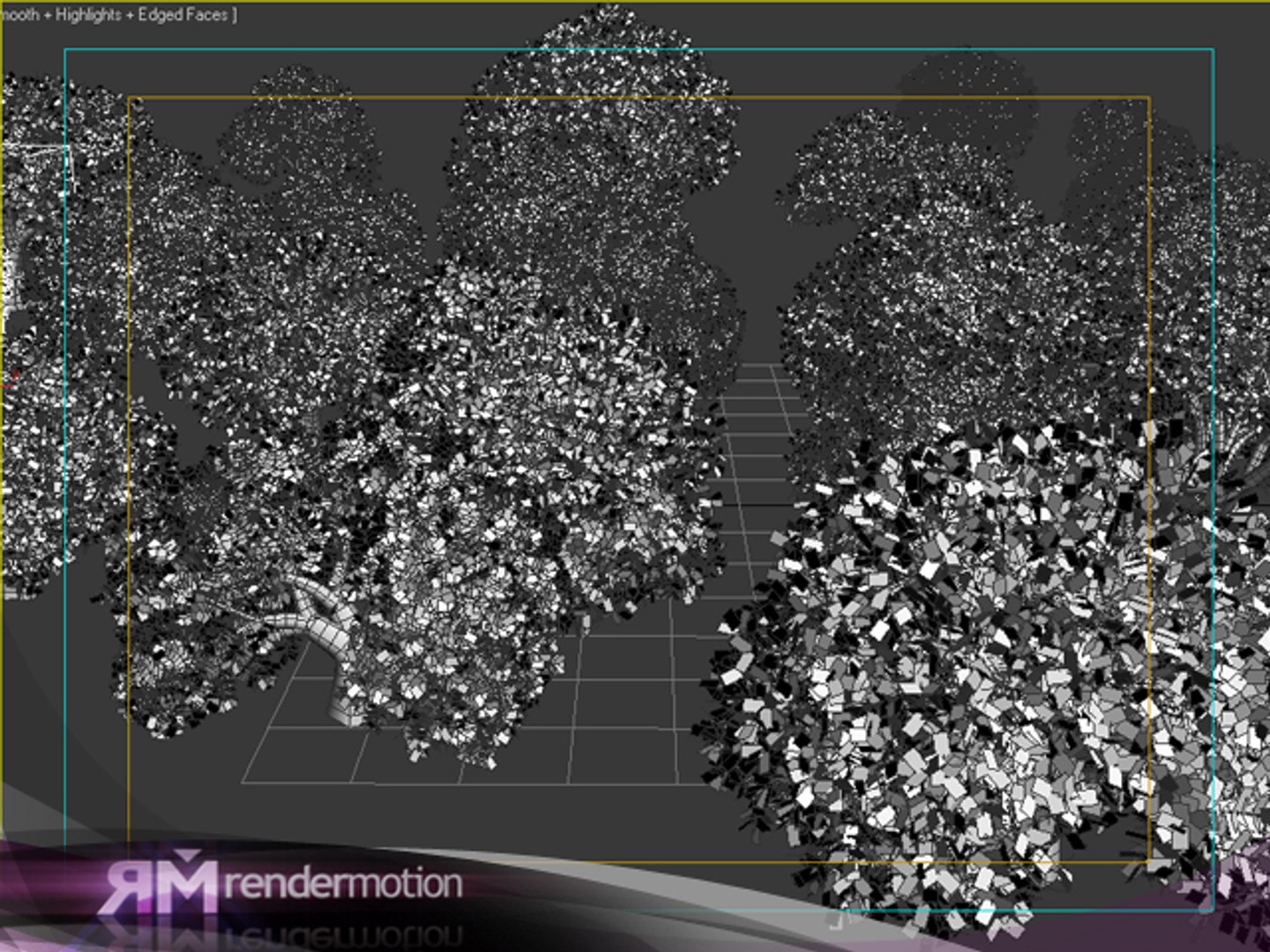 3d tree model https://p.turbosquid.com/ts-thumb/hA/C1VBbQ/UEXES5T4/robles_wireframe/jpg/1295644600/1920x1080/fit_q87/6d28520fb8a15524aea80ca551fdd89c431a47c2/robles_wireframe.jpg