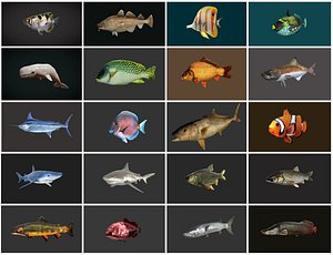 3D model fish - ready pack 1