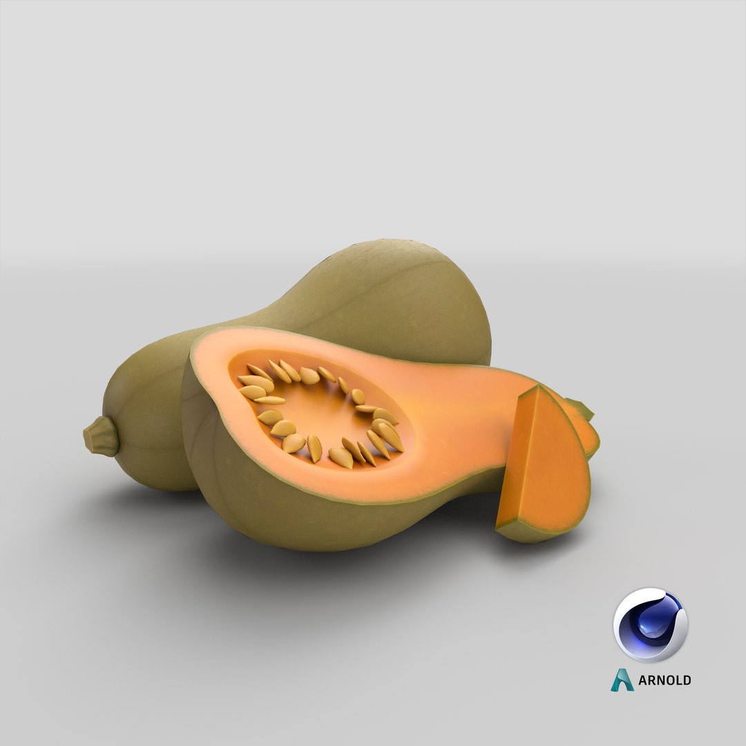 Cartoon Globe Squash model https://p.turbosquid.com/ts-thumb/hA/CFdaot/VR/stemcell_cinema_4d_arnold_render/png/1687850375/1920x1080/fit_q87/2bc94fabb1ed745090ad513c385cddc0f2537811/stemcell_cinema_4d_arnold_render.jpg