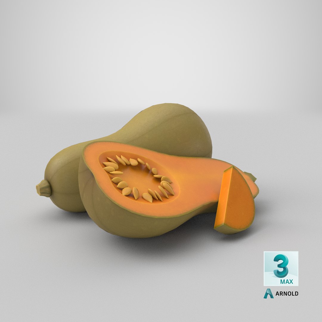 Cartoon Globe Squash model https://p.turbosquid.com/ts-thumb/hA/CFdaot/Ve/stemcell_max_arnold_render/png/1687850371/1920x1080/fit_q87/84054ae01f980083d263645e4d344c422fd70549/stemcell_max_arnold_render.jpg