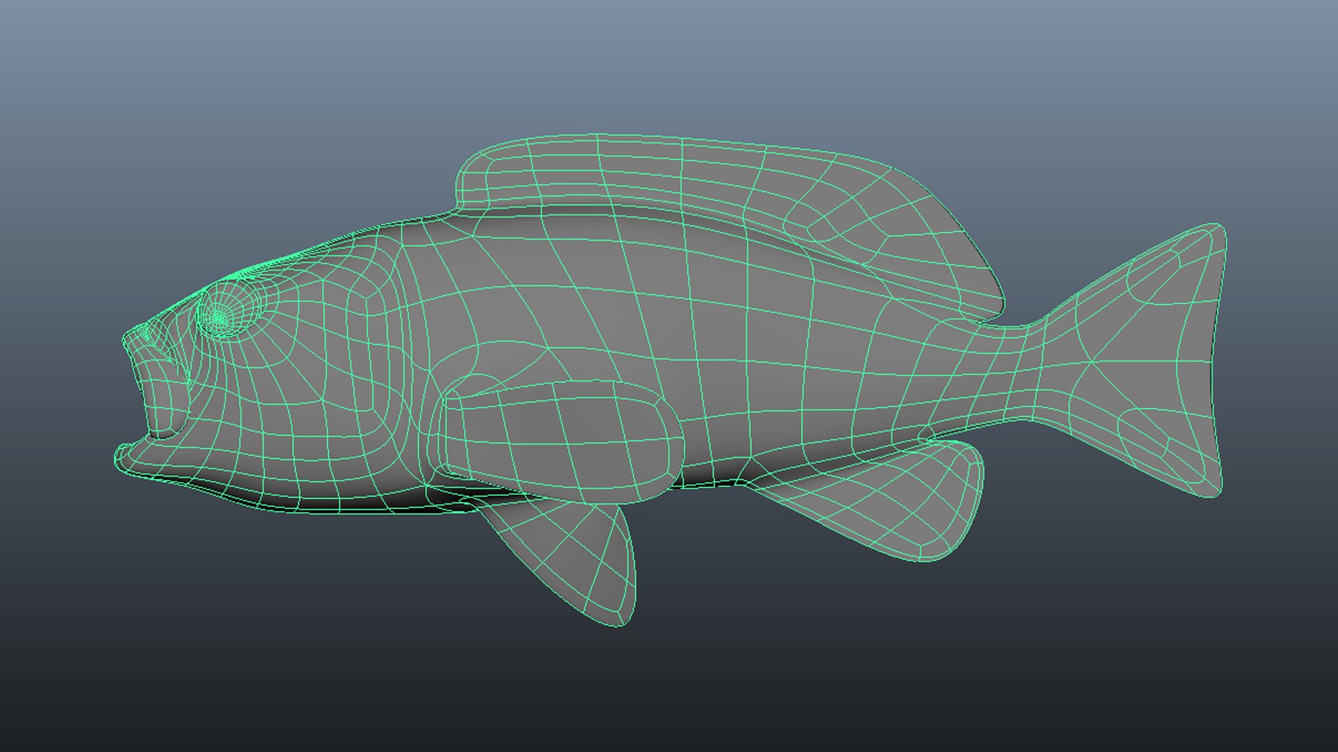 Olive Rockfish 3D Model TurboSquid 1683327