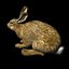 realistic Rabbit for XSI
