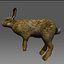 realistic Rabbit for XSI