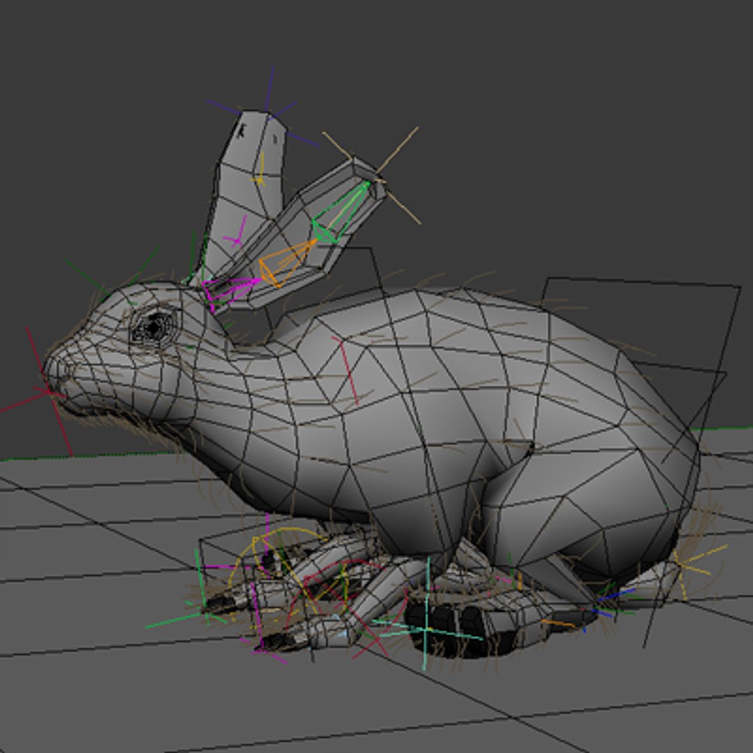 realistic rabbit xsi https://p.turbosquid.com/ts-thumb/hA/Cwm5D5/GkjxZYTk/rabbit06/jpg/1250163124/1920x1080/fit_q87/d7350a52d56ea53a598c430398e2106d97d9c721/rabbit06.jpg