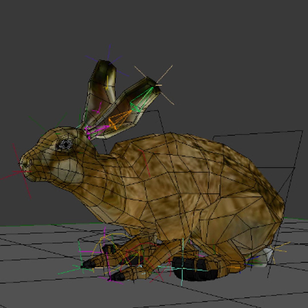 realistic rabbit xsi https://p.turbosquid.com/ts-thumb/hA/Cwm5D5/fLvkNvEP/rabbit05/jpg/1250163115/1920x1080/fit_q87/d048e9eaf034e77541a4f821c60f639d387086e4/rabbit05.jpg