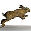 realistic Rabbit for XSI