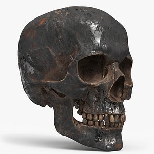 Human Skull Sci-fi Iron A 3D model