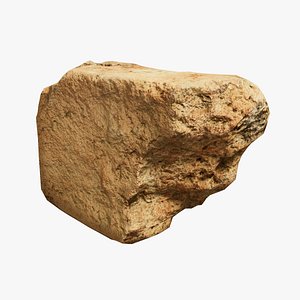 Scanned Brick 02 StemCell