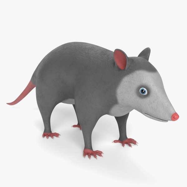 3d cartoon opossum