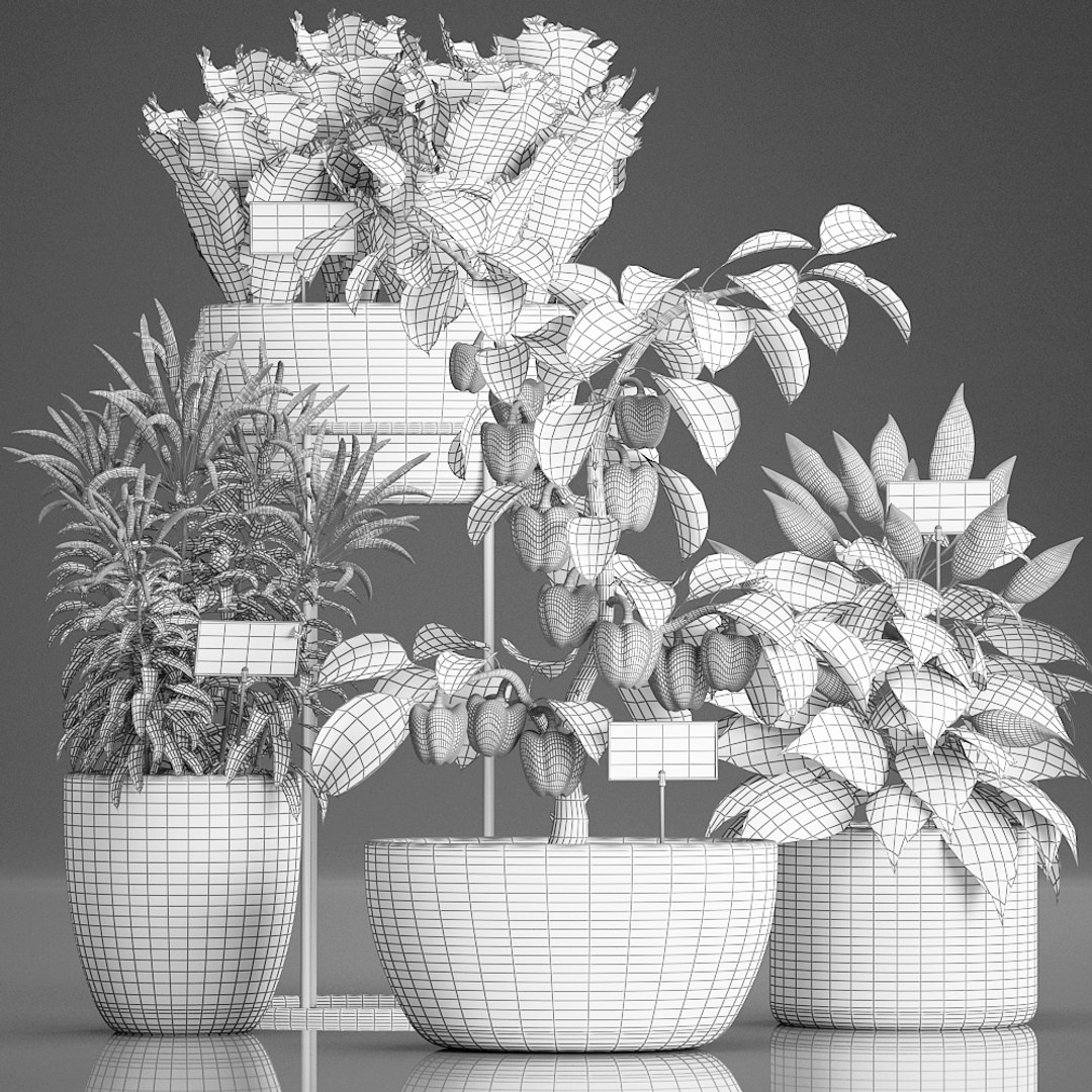 Decorative plants kitchen pepper model TurboSquid 1452103