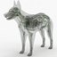 3d model dugm01 dog anatomy male female