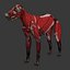3d model dugm01 dog anatomy male female