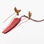 3d model dugm01 dog anatomy male female