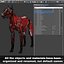 3d model dugm01 dog anatomy male female