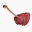 3d model dugm01 dog anatomy male female