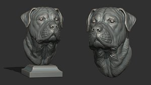 3D Rottweiler head dog