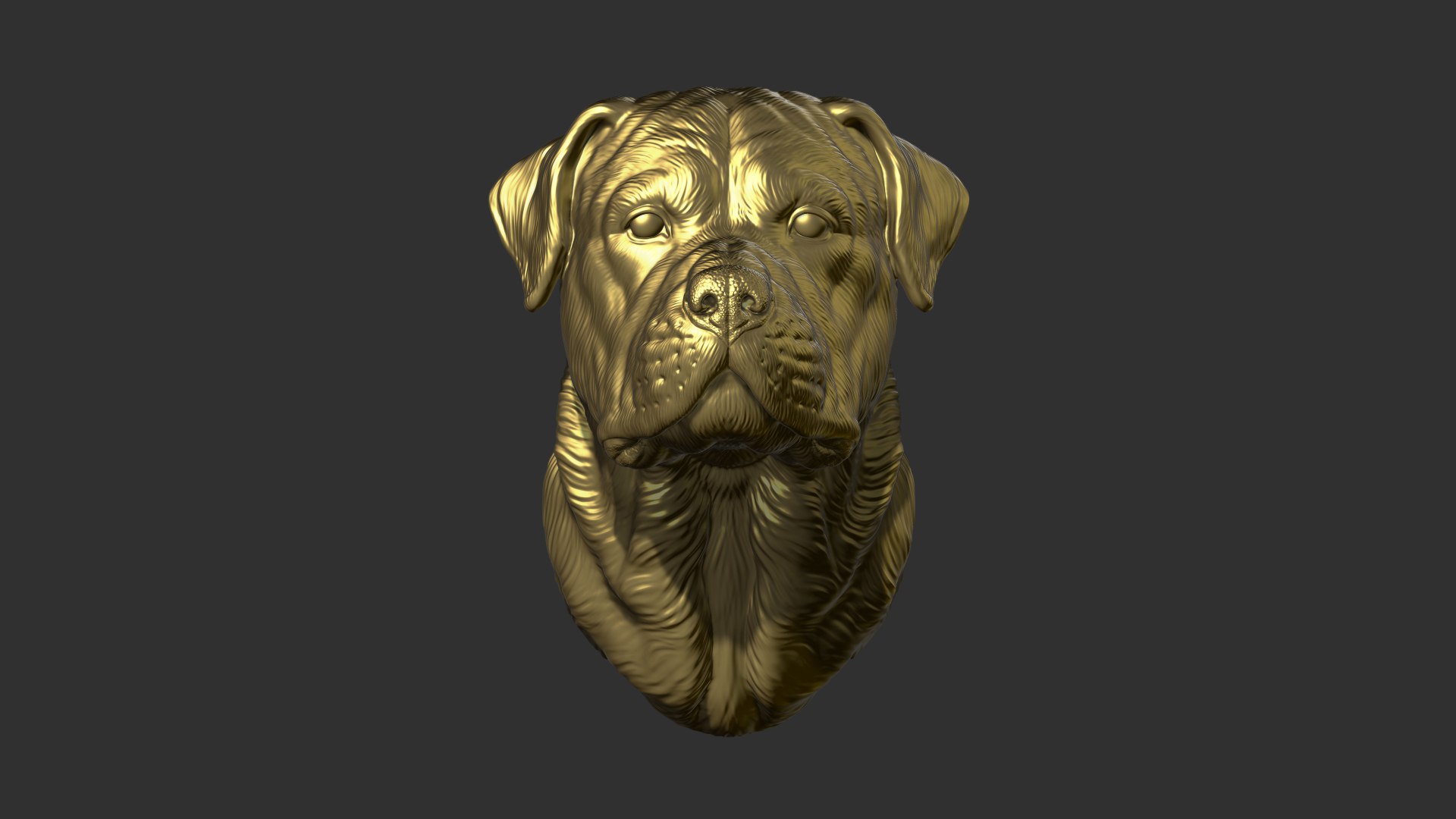 3D Rottweiler Head Dog - TurboSquid 2213002