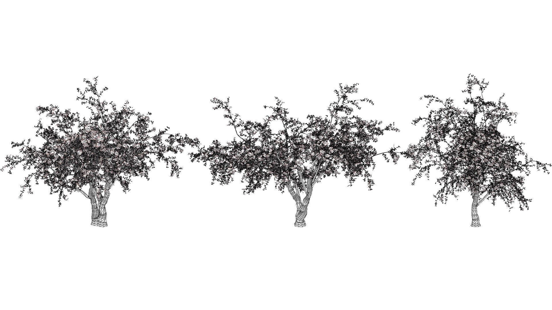 Arabian Landscape Plants and Trees 3D Pack model https://p.turbosquid.com/ts-thumb/hA/ymNaBY/9N/arabiansidrtree3/jpg/1779579119/1920x1080/fit_q87/e783b8f2a22346e79061337005b39428f3db3441/arabiansidrtree3.jpg
