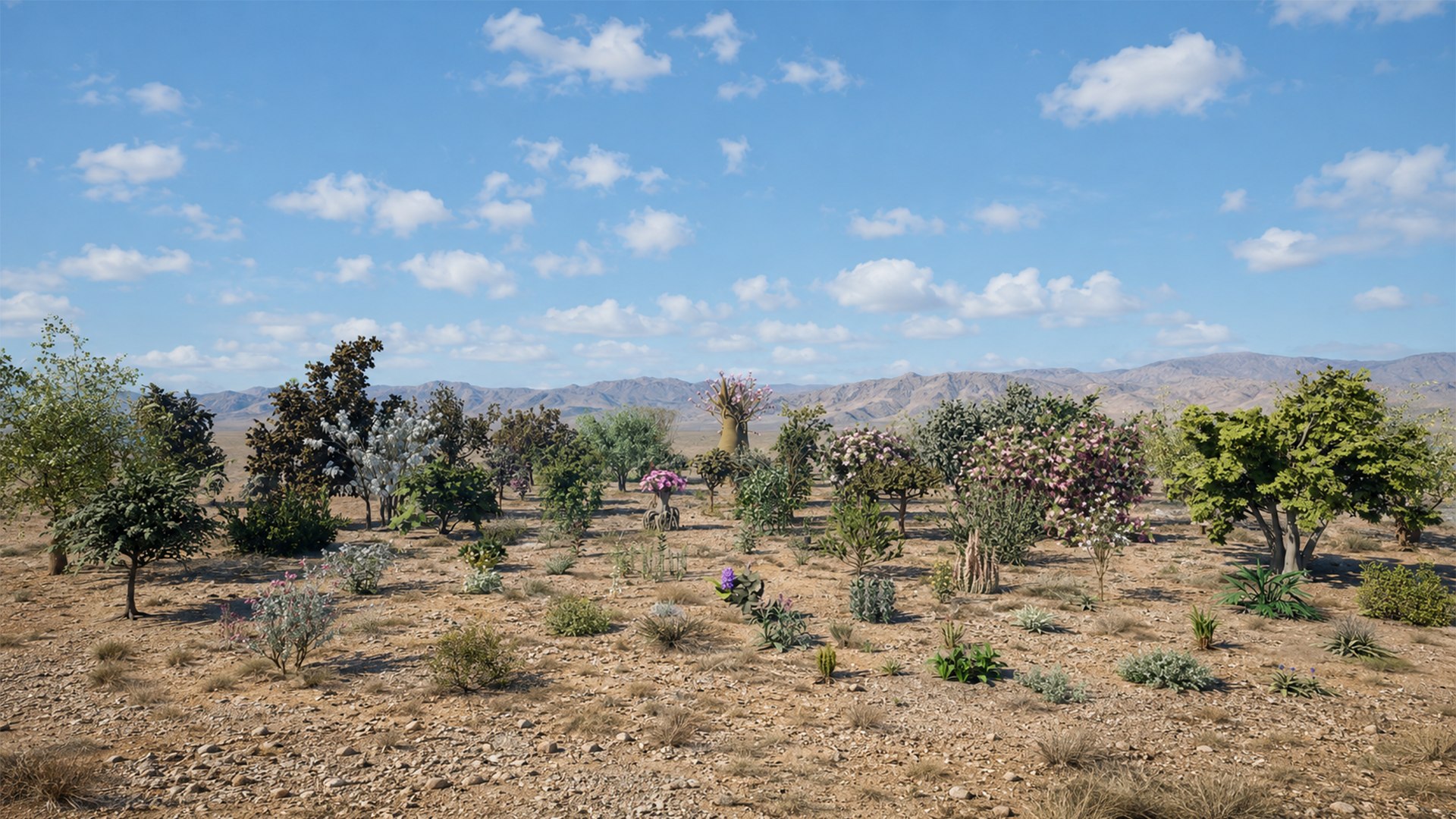 Arabian Landscape Plants and Trees 3D Pack model https://p.turbosquid.com/ts-thumb/hA/ymNaBY/9k/arabianflora1/png/1779578998/1920x1080/fit_q87/103777da1e79c82ef9fe7e6172a2a7ed0f3fbef6/arabianflora1.jpg