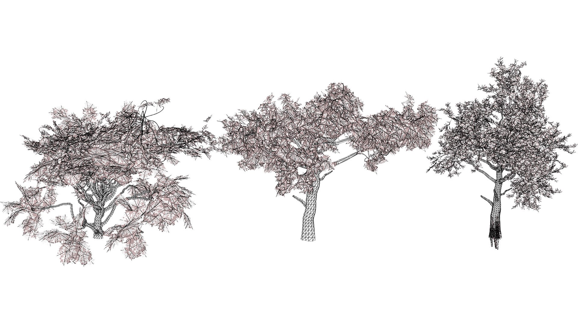 Arabian Landscape Plants and Trees 3D Pack model https://p.turbosquid.com/ts-thumb/hA/ymNaBY/E7/arabiancharcoaltreepack3/jpg/1779579110/1920x1080/fit_q87/eff7f63841f2da57267146b07d79ebb53156ab84/arabiancharcoaltreepack3.jpg