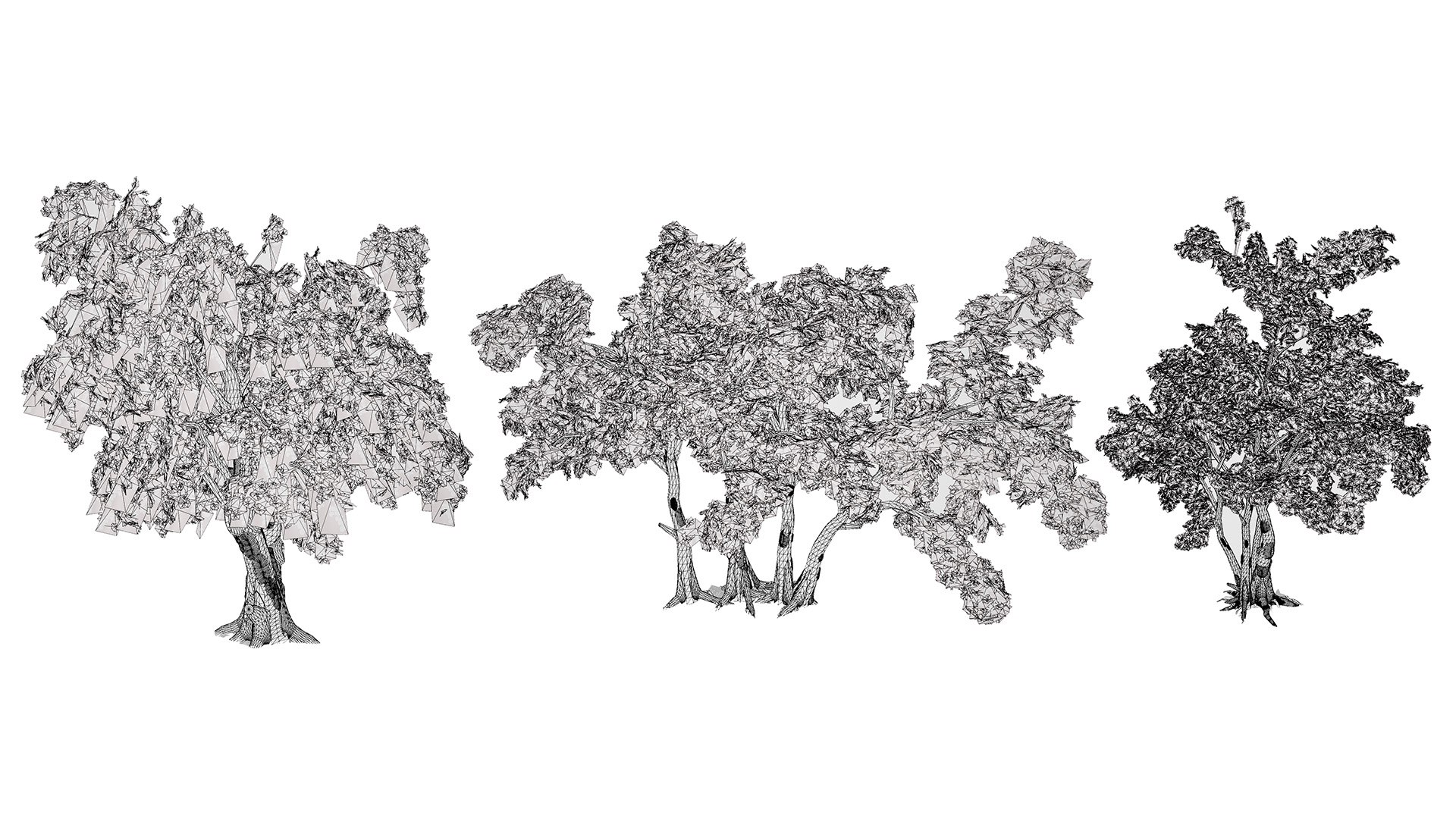 Arabian Landscape Plants and Trees 3D Pack model https://p.turbosquid.com/ts-thumb/hA/ymNaBY/EP/arabiantoothbrushtree3/jpg/1779579119/1920x1080/fit_q87/d98baa245a44726a27f8c748998819b320bab847/arabiantoothbrushtree3.jpg