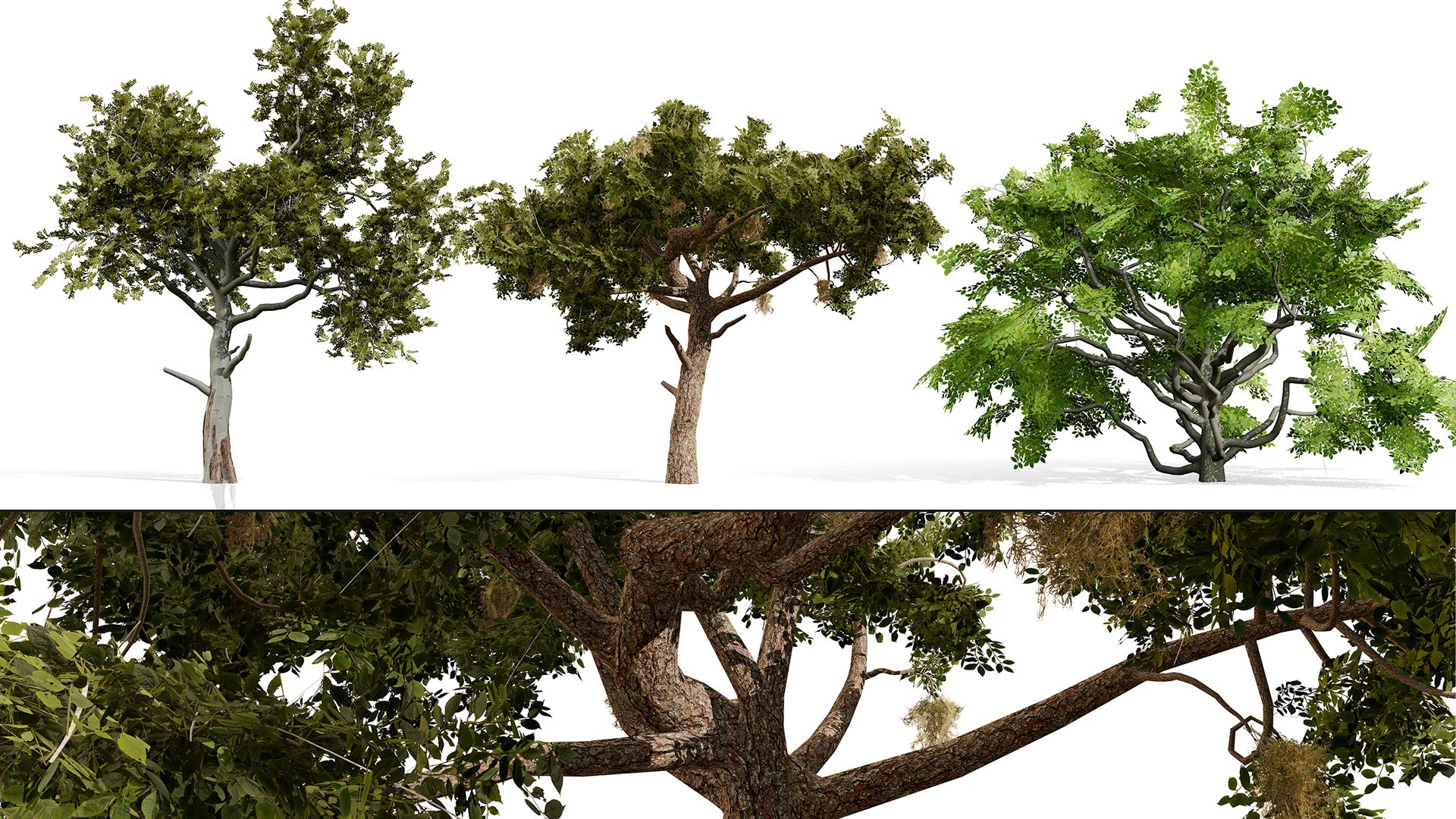Arabian Landscape Plants and Trees 3D Pack model https://p.turbosquid.com/ts-thumb/hA/ymNaBY/FL/arabiancharcoaltreepack4/jpg/1779579060/1920x1080/fit_q87/faabeb78159209c5400a7d321e3dffdbb1a6516f/arabiancharcoaltreepack4.jpg