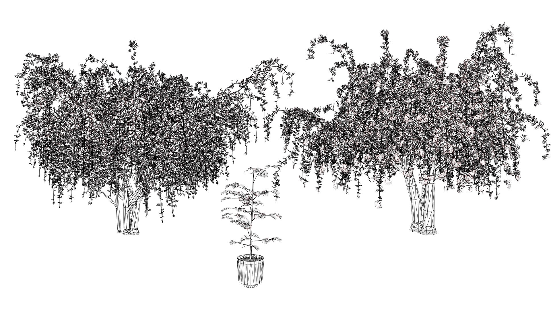 Arabian Landscape Plants and Trees 3D Pack model https://p.turbosquid.com/ts-thumb/hA/ymNaBY/Lg/arabianassyrianplumtree2/jpg/1779579108/1920x1080/fit_q87/6350bde426458c98f1f7e3aff4b9799211b7b910/arabianassyrianplumtree2.jpg