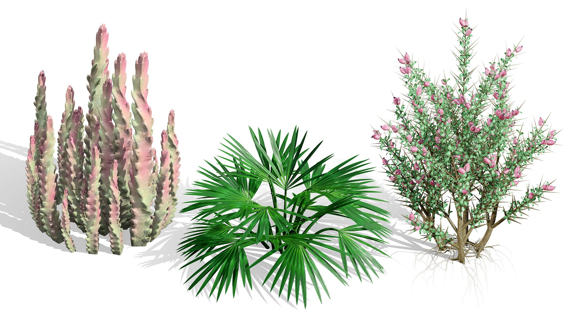 Arabian Landscape Plants and Trees 3D Pack model https://p.turbosquid.com/ts-thumb/hA/ymNaBY/NC/wildarabiandesertflorapack21/jpg/1779579093/1920x1080/fit_q87/3393fde9010af6081a31bd7bbc6222cbed2e4138/wildarabiandesertflorapack21.jpg