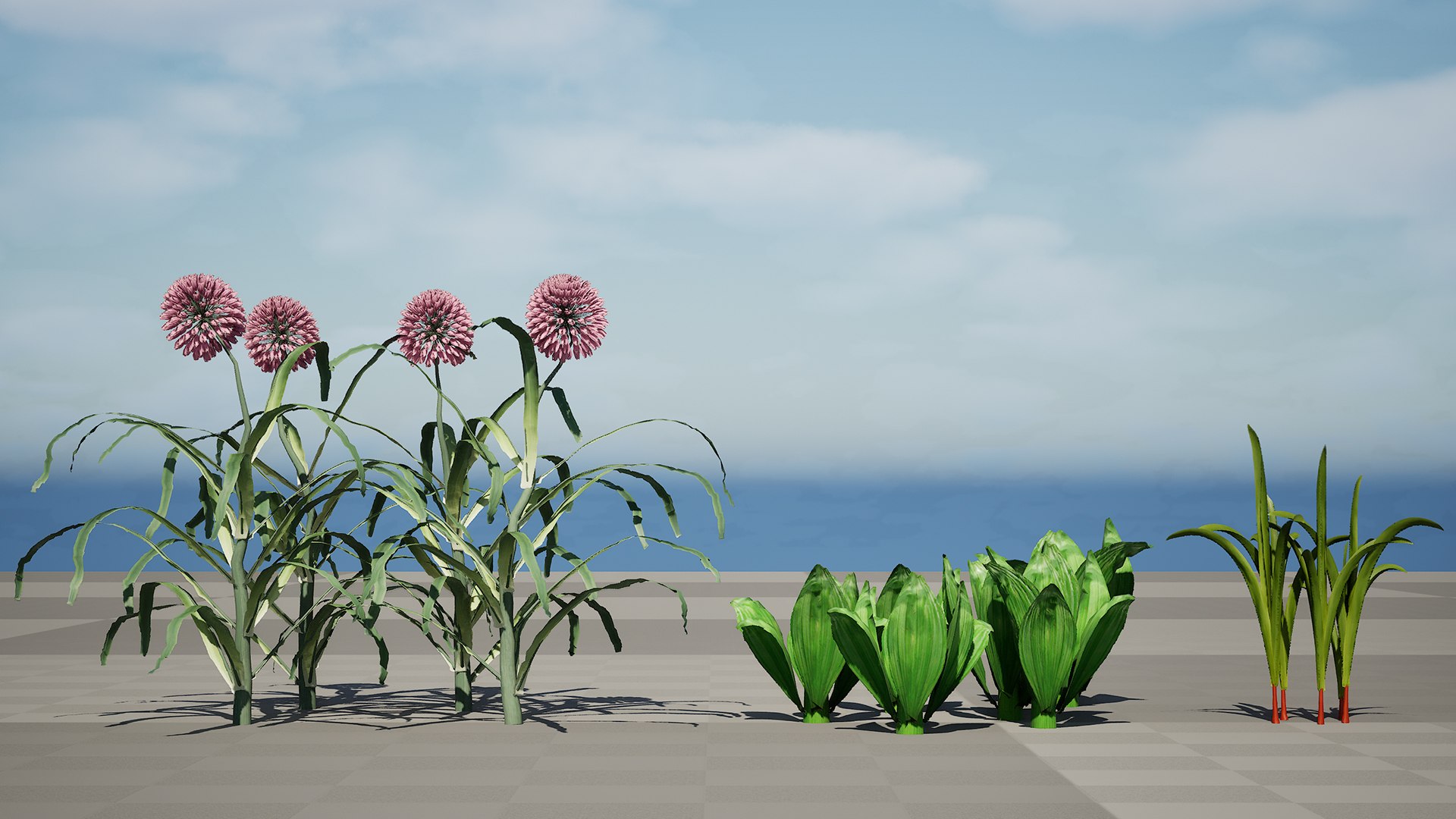 Arabian Landscape Plants and Trees 3D Pack model https://p.turbosquid.com/ts-thumb/hA/ymNaBY/UU/realisticwildleek6/jpg/1779579094/1920x1080/fit_q87/a7e4f9c021b2172bec3ef7d471304a444385b20a/realisticwildleek6.jpg