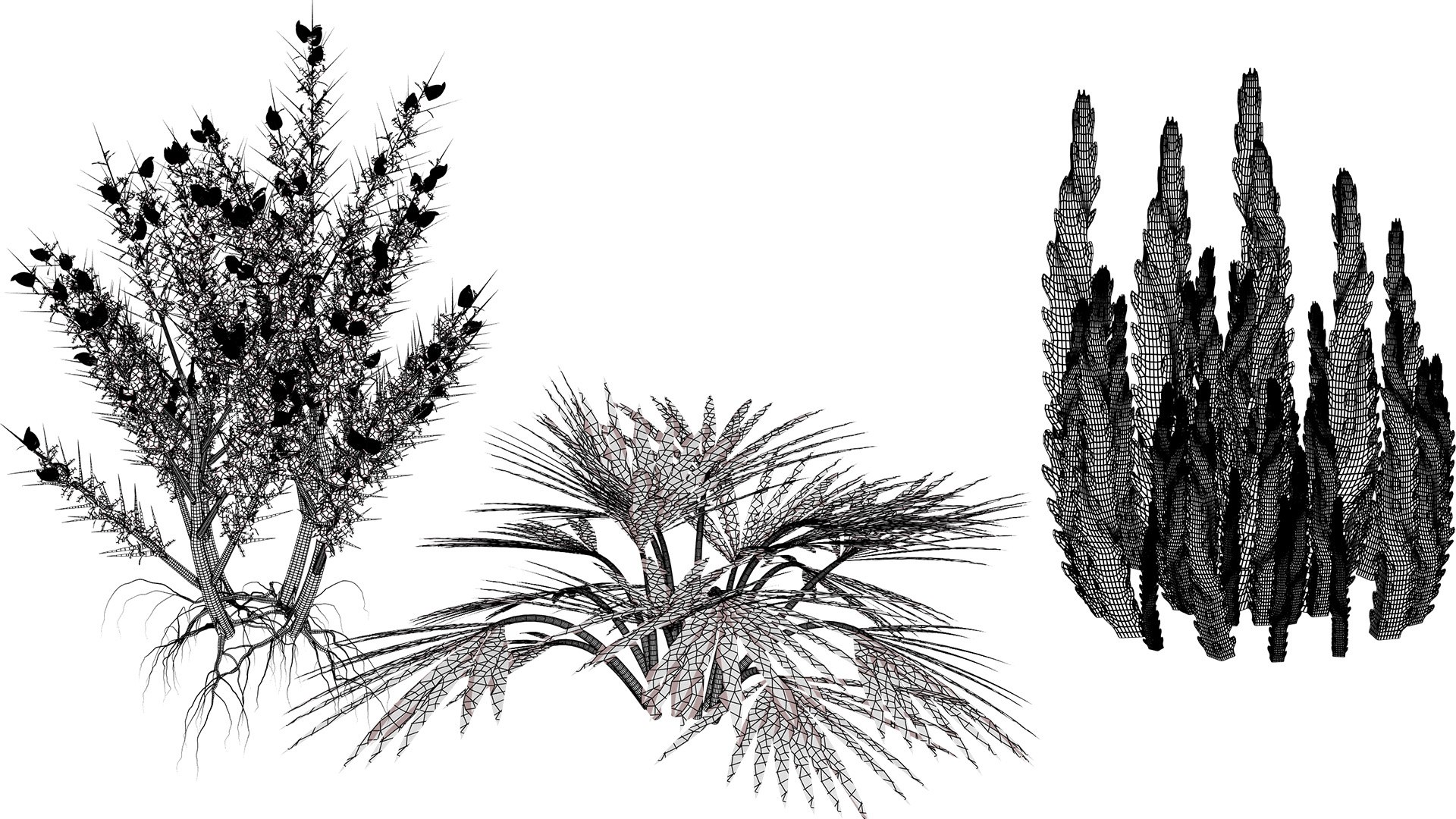 Arabian Landscape Plants and Trees 3D Pack model https://p.turbosquid.com/ts-thumb/hA/ymNaBY/dL/wildarabiandesertflorapack26/jpg/1779579136/1920x1080/fit_q87/036f5084636c173b60a634dfa8488dd3e0df0761/wildarabiandesertflorapack26.jpg