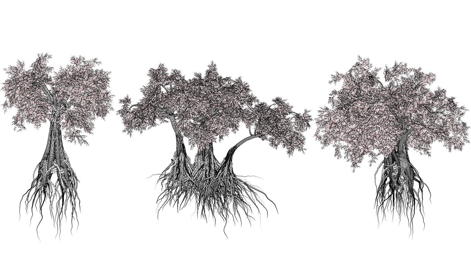 Arabian Landscape Plants and Trees 3D Pack model https://p.turbosquid.com/ts-thumb/hA/ymNaBY/jT/ancientarabianolivetree5/jpg/1779579104/1920x1080/fit_q87/1ed0139cb9d3646e6ea51dc9d63921d241bb0683/ancientarabianolivetree5.jpg