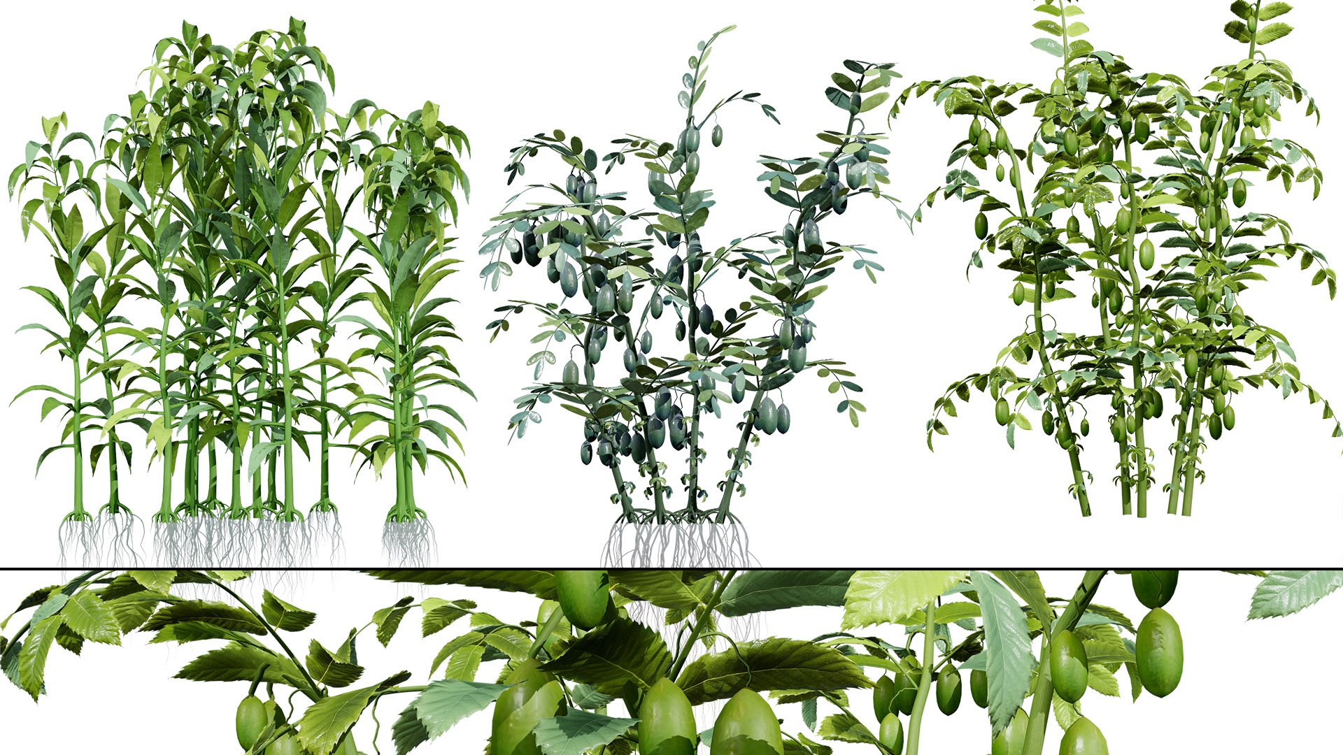 Arabian Landscape Plants and Trees 3D Pack model https://p.turbosquid.com/ts-thumb/hA/ymNaBY/kp/arabianagriculturalcrops1/jpg/1779579054/1920x1080/fit_q87/b1577c63ad1757930b8f2be860698d168bb0ed8f/arabianagriculturalcrops1.jpg