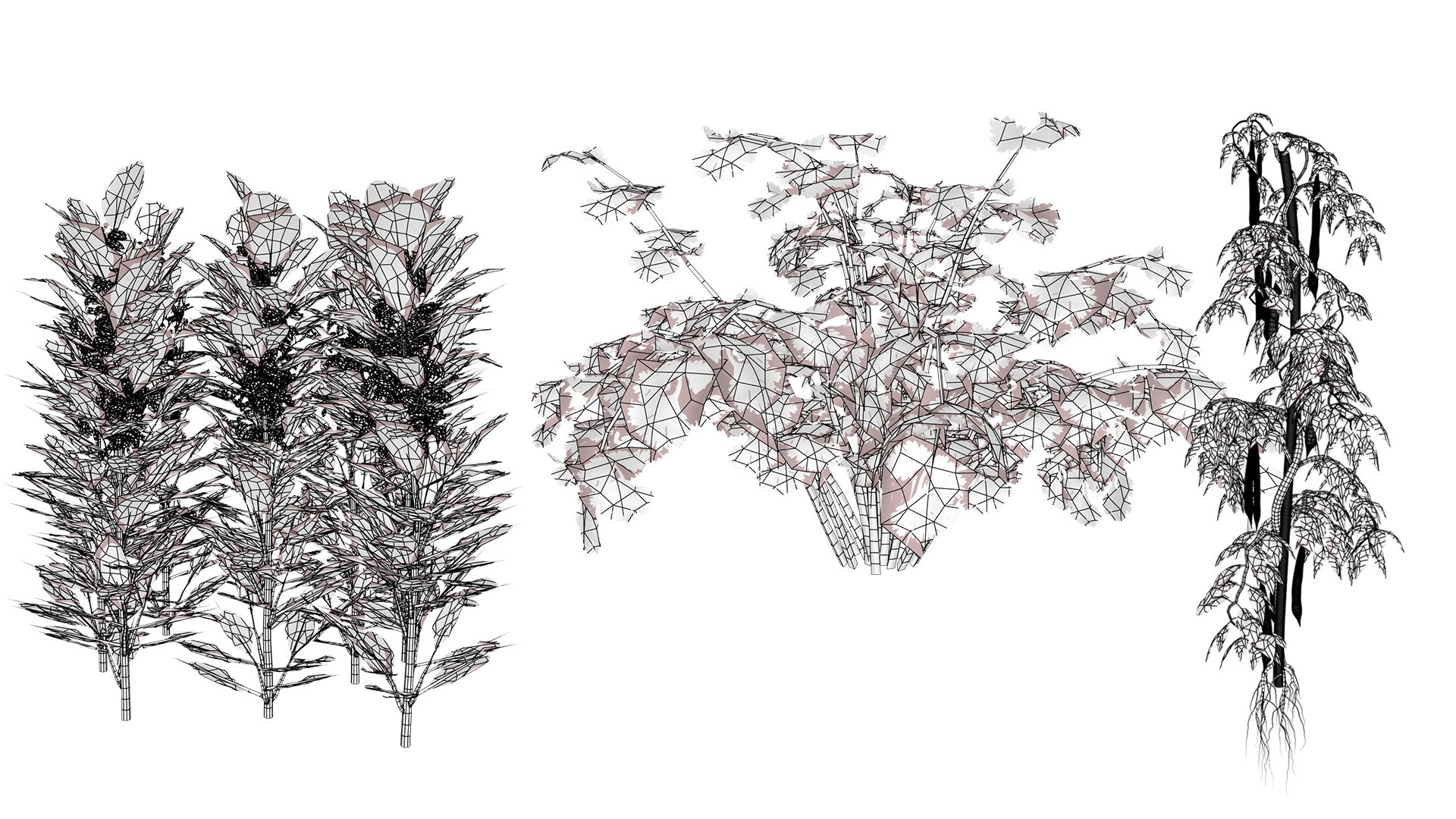 Arabian Landscape Plants and Trees 3D Pack model https://p.turbosquid.com/ts-thumb/hA/ymNaBY/o1/arabianfavabeanplant3/jpg/1779579113/1920x1080/fit_q87/bd9906af8c2ce0d83981aeba8044100b56a66121/arabianfavabeanplant3.jpg