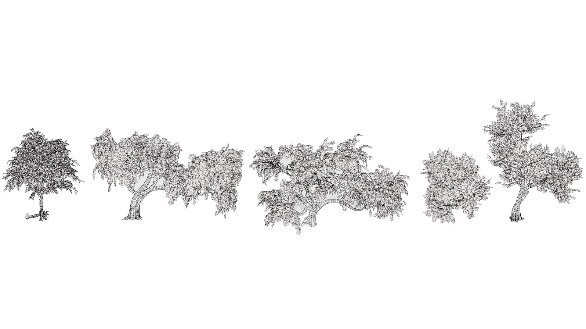 Arabian Landscape Plants and Trees 3D Pack model https://p.turbosquid.com/ts-thumb/hA/ymNaBY/wY/prosopiscineraria3/jpg/1779579125/1920x1080/fit_q87/8f7013943b41e3e8f9f9be2c4fe88f6696e7d0be/prosopiscineraria3.jpg