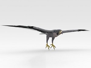 3D Falcon