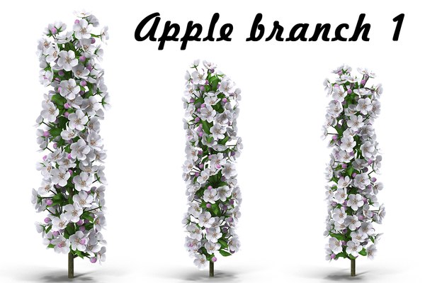 3D flowering apple tree branch