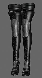 shoeshighheelboot model