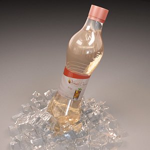 bottle ice 3D model