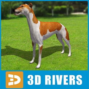 greyhound dogs 3ds