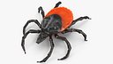 Tick