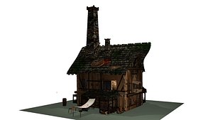 Horrible house in village